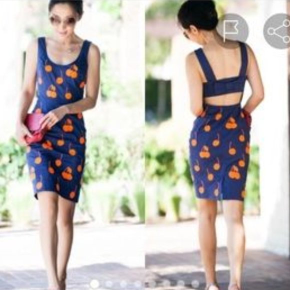 Anthropologie BNWT Leifnotes Cherry Drop Dress 0 - Picture 3 of 12